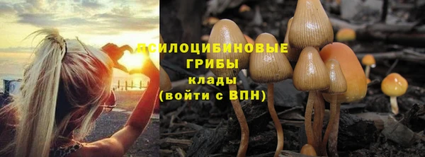 прущая мука Арсеньев