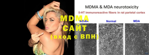 шишки Аркадак