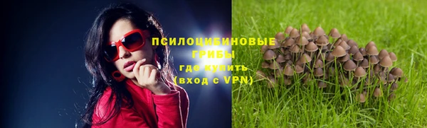 прущая мука Арсеньев