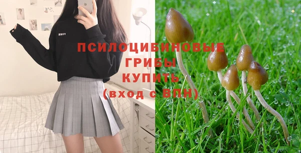 шишки Аркадак