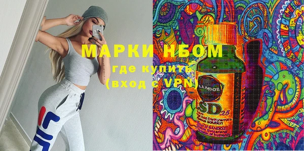шишки Аркадак