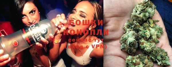 прущая мука Арсеньев