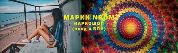 шишки Аркадак