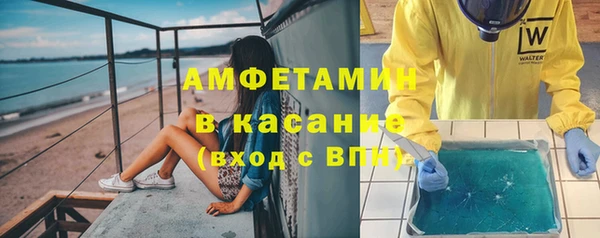 шишки Аркадак
