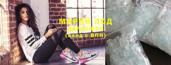 шишки Аркадак