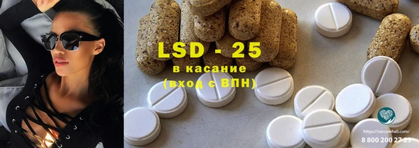шишки Аркадак